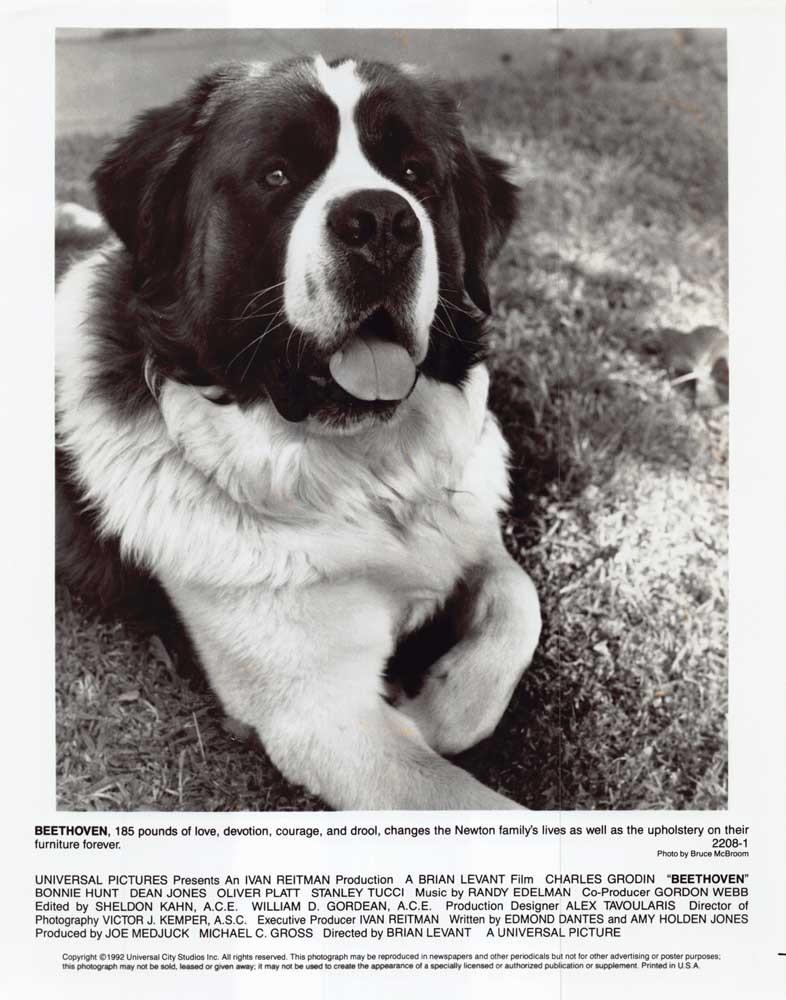BEETHOVEN original 8x10 press photo 1992