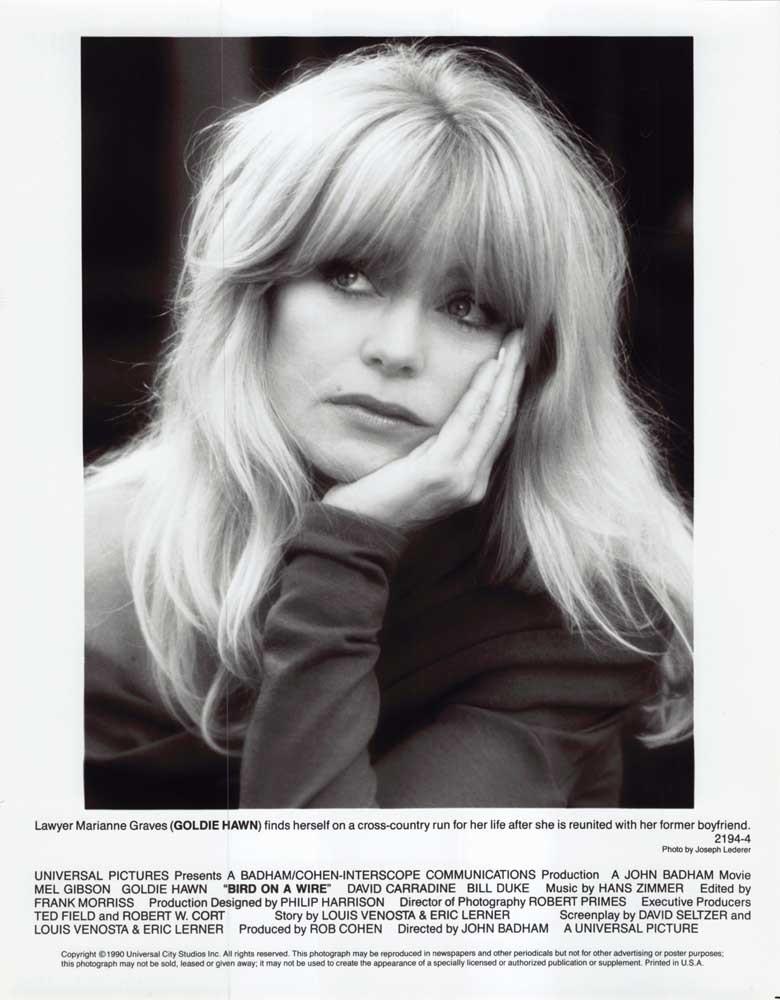 Goldie Hawn BIRD ON A WIRE original 8x10 press photo 1990