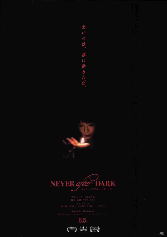 NEVER AFTER DARK Japanese movie flyer Chirashi 2026