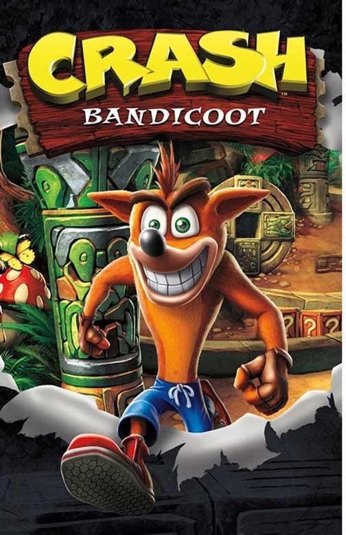 Sony Playstation CRASH BANDICOOT Naughty Dog video game poster 11x17