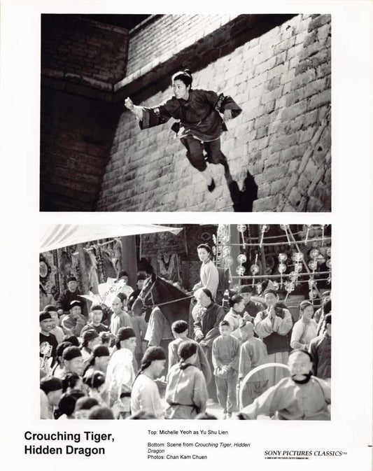 Michelle Yeoh CROUCHING TIGER, HIDDEN DRAGON original 8x10 press photo