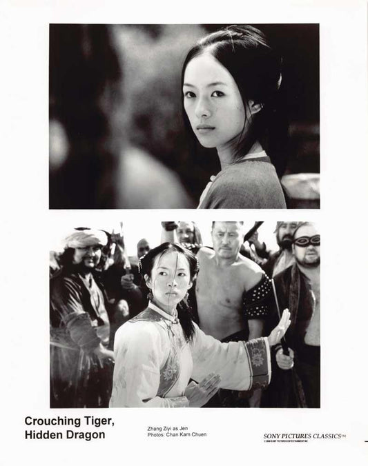 Zhang Ziyi CROUCHING TIGER, HIDDEN DRAGON original 8x10 press photo