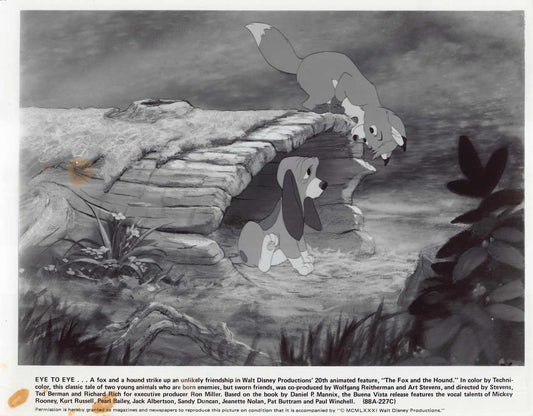 Disney's THE FOX AND THE HOUND original 10x8 press photo 1981