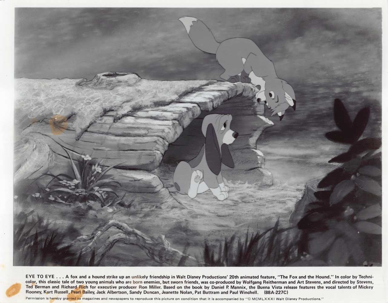 Disney's THE FOX AND THE HOUND original 10x8 press photo 1981
