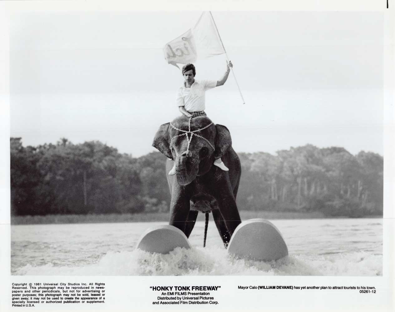 William Devane HONKY TONK FREEWAY original 10x8 press photo 1981