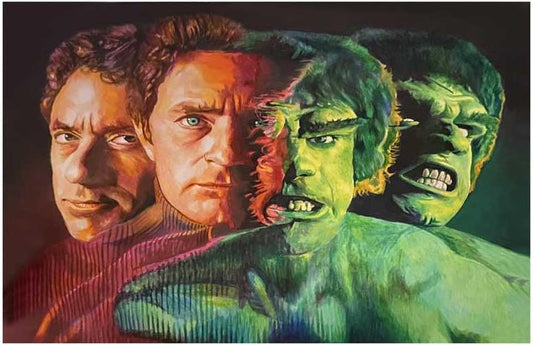 Bill Bixby THE INCREDIBLE HULK Lou Ferrigno movie poster 17x11