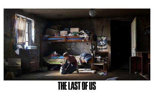 Naughty Dog LAST OF US Ellie's room video game poster 17x11