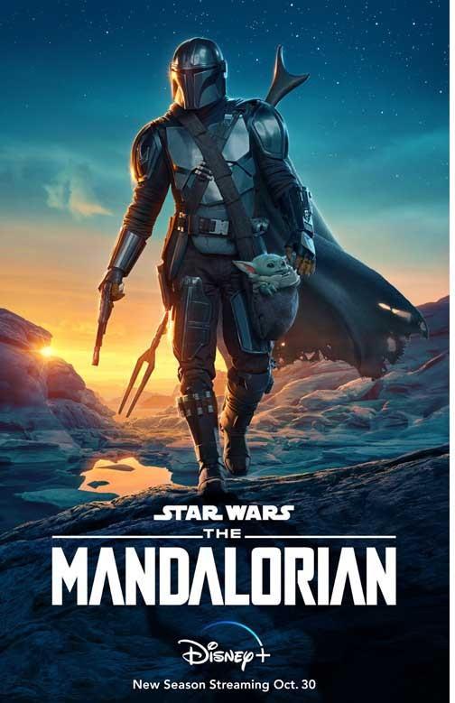 Mark Hamill STAR WARS HOLIDAY SPECIAL Carrie Fisher foreign movie poster 11x17