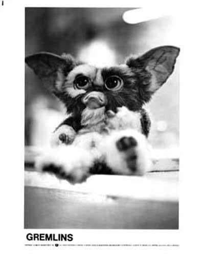 Warner Bros 1984 GREMLINS original press photos Phoebe Cates Zach Galligan