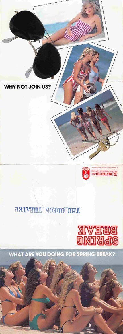 David Knell SPRING BREAK Steve Bassett Perry Lang color foldout brochure 1983
