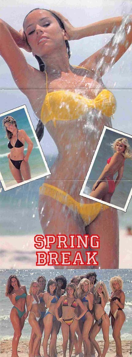 David Knell SPRING BREAK Steve Bassett Perry Lang color foldout brochure 1983