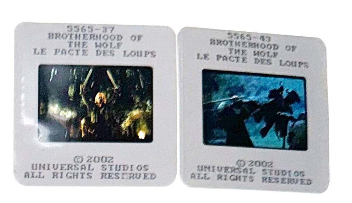 Mark Dacascos BROTHERHOOD OF THE WOLF Monica Bellucci original 35mm press slides