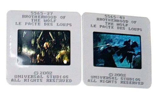 Mark Dacascos BROTHERHOOD OF THE WOLF Monica Bellucci original 35mm press slides
