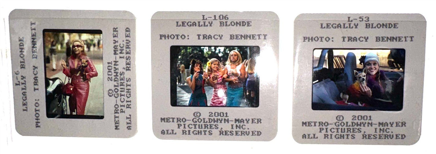Reese Witherspoon LEGALLY BLONDE Selma Blair original 35mm studio press slides