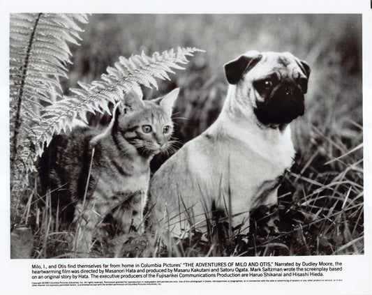 Dudley Moore ADVENTURES OF MILO AND OTIS 1989 original 8x10 press photo