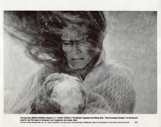 Akira Terao AKIRA KUROSAWA'S DREAMS Mieko Harada original 10x8 press photo 1990