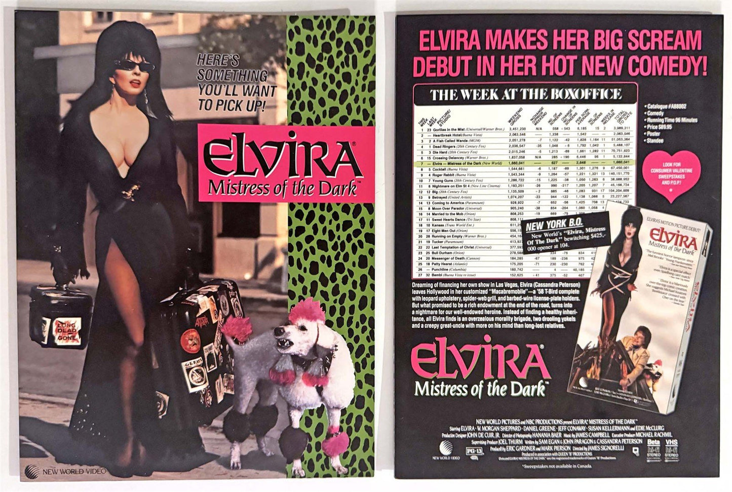 Cassandra Peterson ELVIRA MISTRESS OF THE DARK color foldout VHS brochure