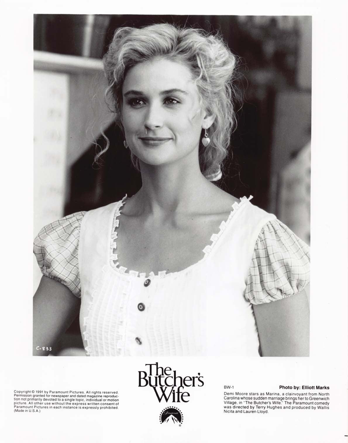 Demi Moore BUTCHER'S WIFE original press photo 1991
