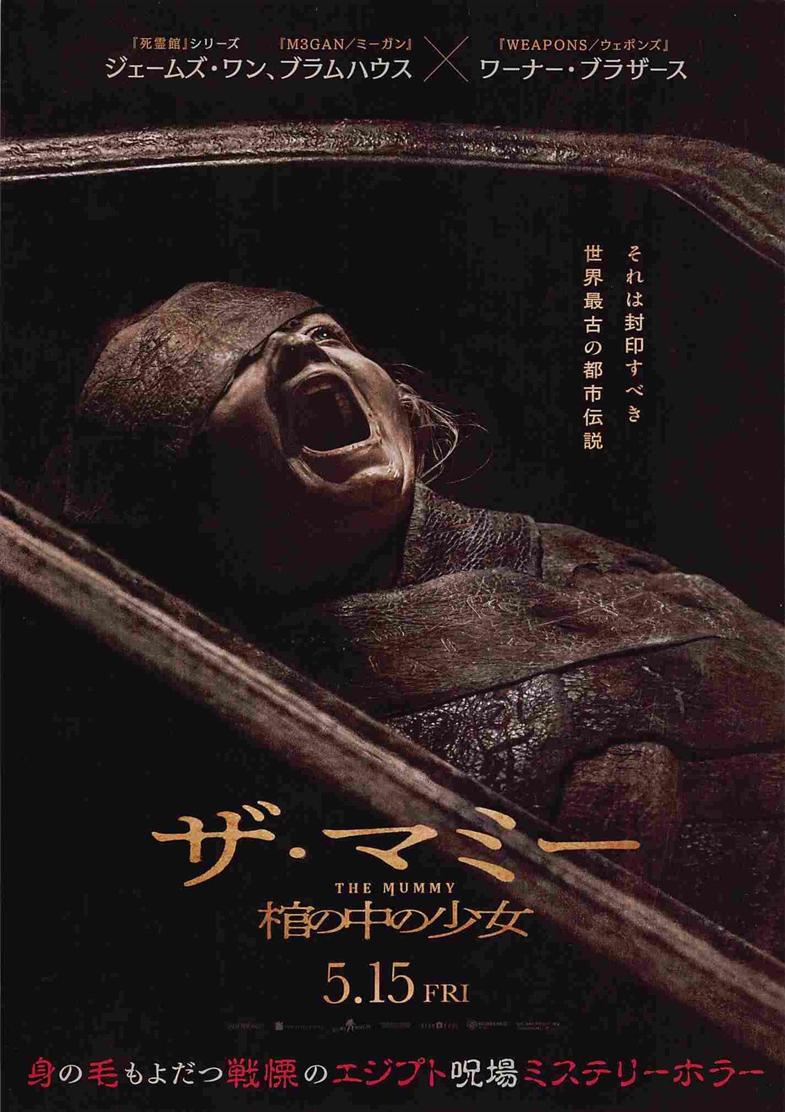 Lee Cronin's THE MUMMY Japanese movie flyer Chirashi 2026