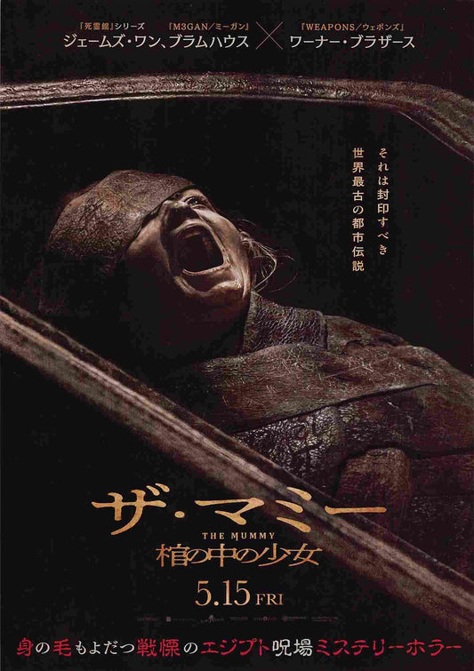 Lee Cronin's THE MUMMY Japanese movie flyer Chirashi 2026