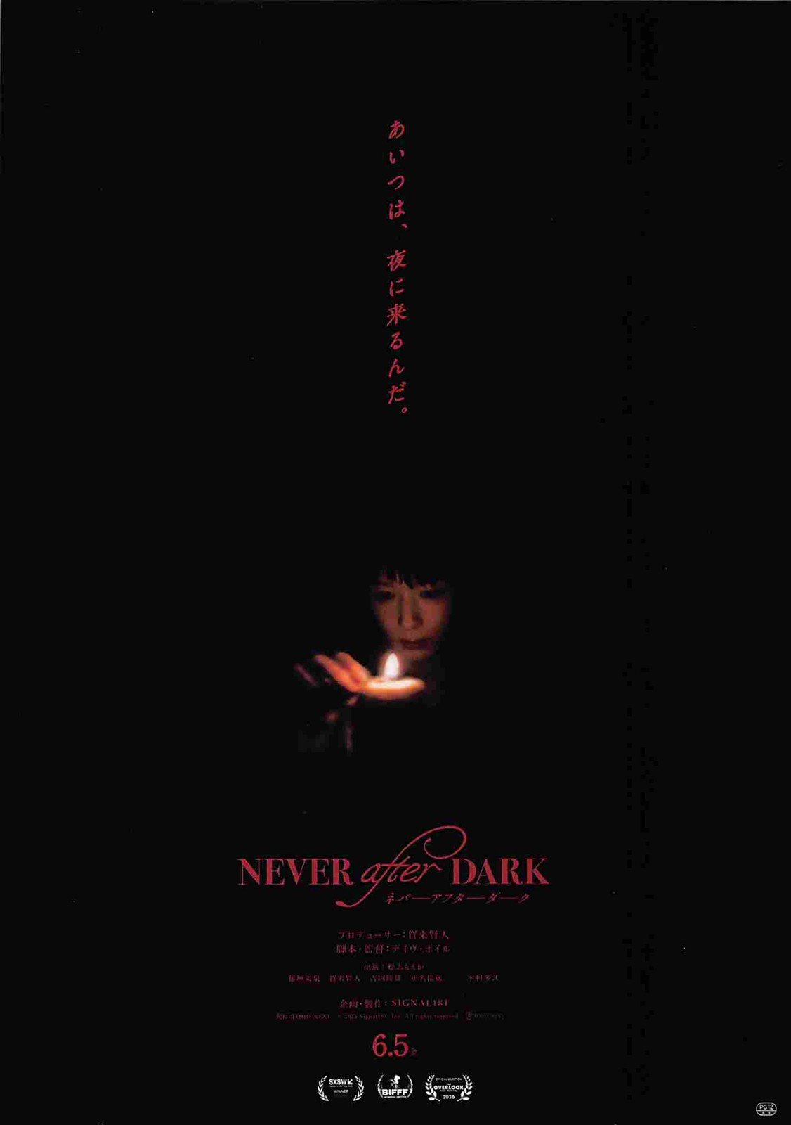 NEVER AFTER DARK Japanese movie flyer Chirashi 2026