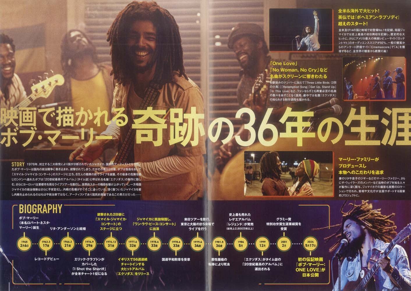 Bob Marley ONE LOVE Japanese movie flyer Chirashi