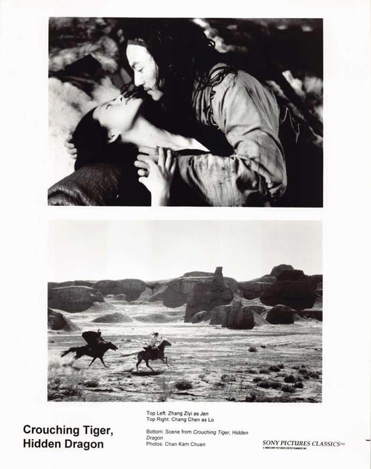 Zhang Ziyi CROUCHING TIGER, HIDDEN DRAGON Chang Chen original 8x10 press photo