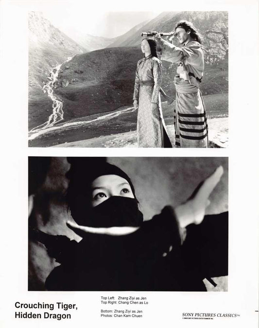 Zhang Ziyi CROUCHING TIGER, HIDDEN DRAGON Chang Chen original 8x10 press photo