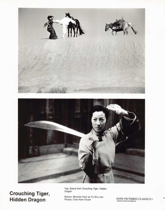 Michelle Yeoh CROUCHING TIGER, HIDDEN DRAGON original 8x10 press photo