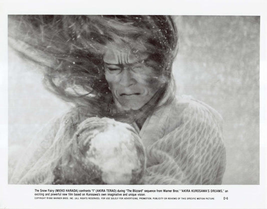 Mieko Harada AKIRA KUROSAWA'S DREAMS Akira Terao 1990 original 8x10 press photos