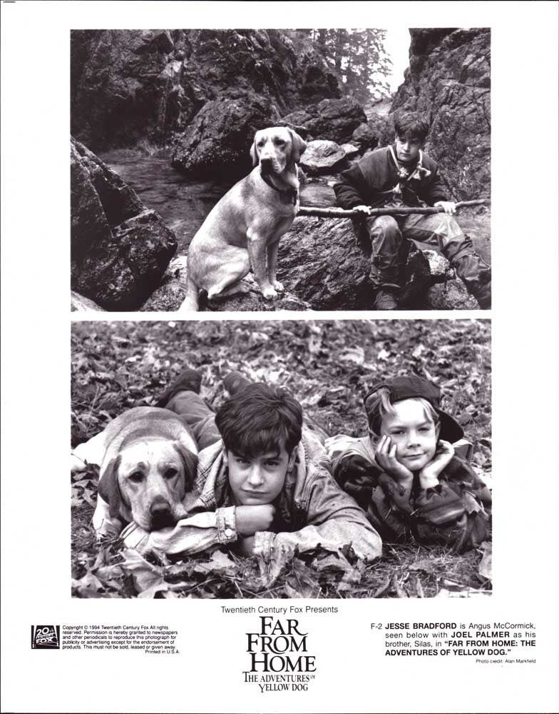 Jesse Bradford FAR FROM HOME Joel Palmer original 8x10 press photo 1994