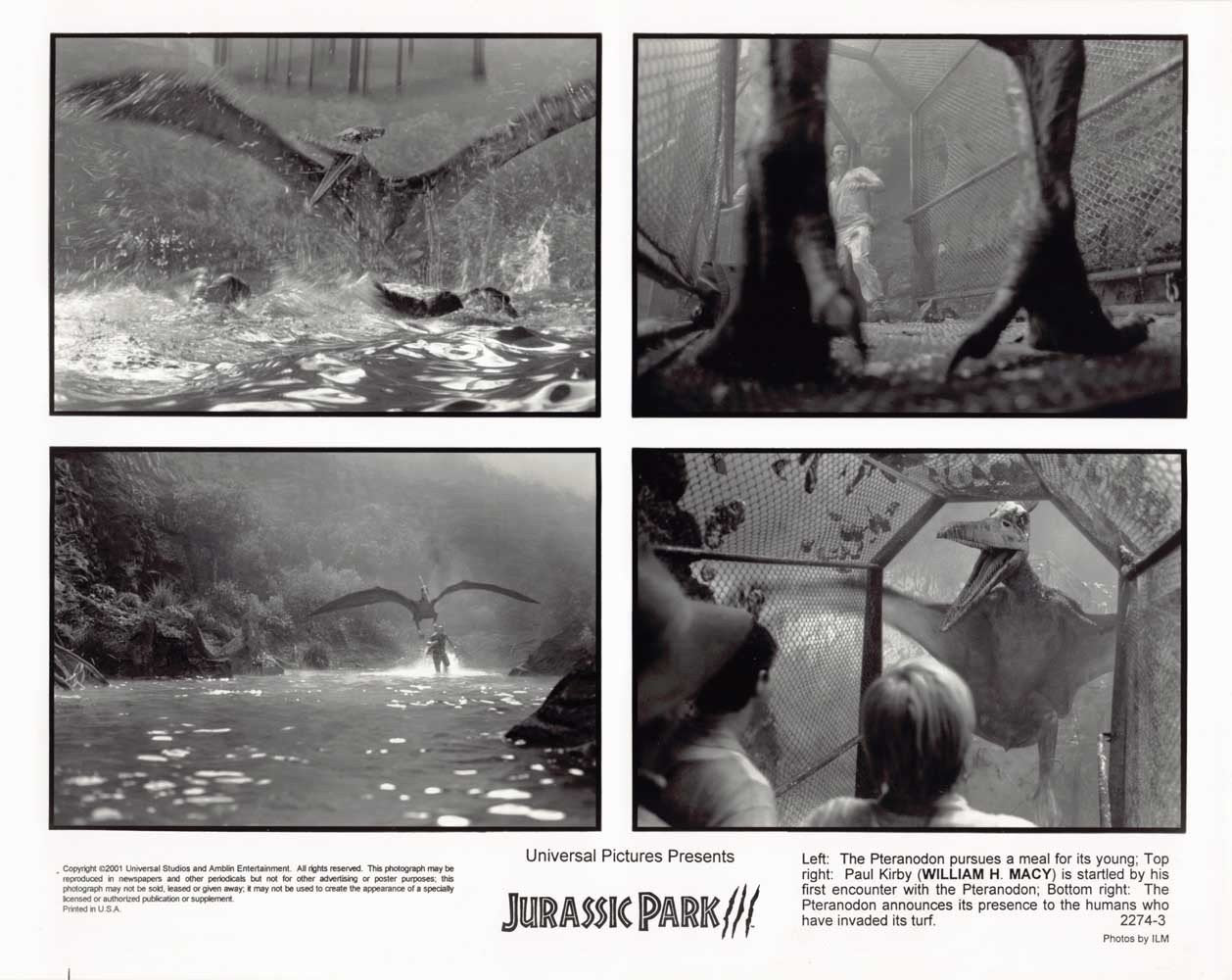 JURASSIC PARK 3 William H. Macy original 8x10 press photo