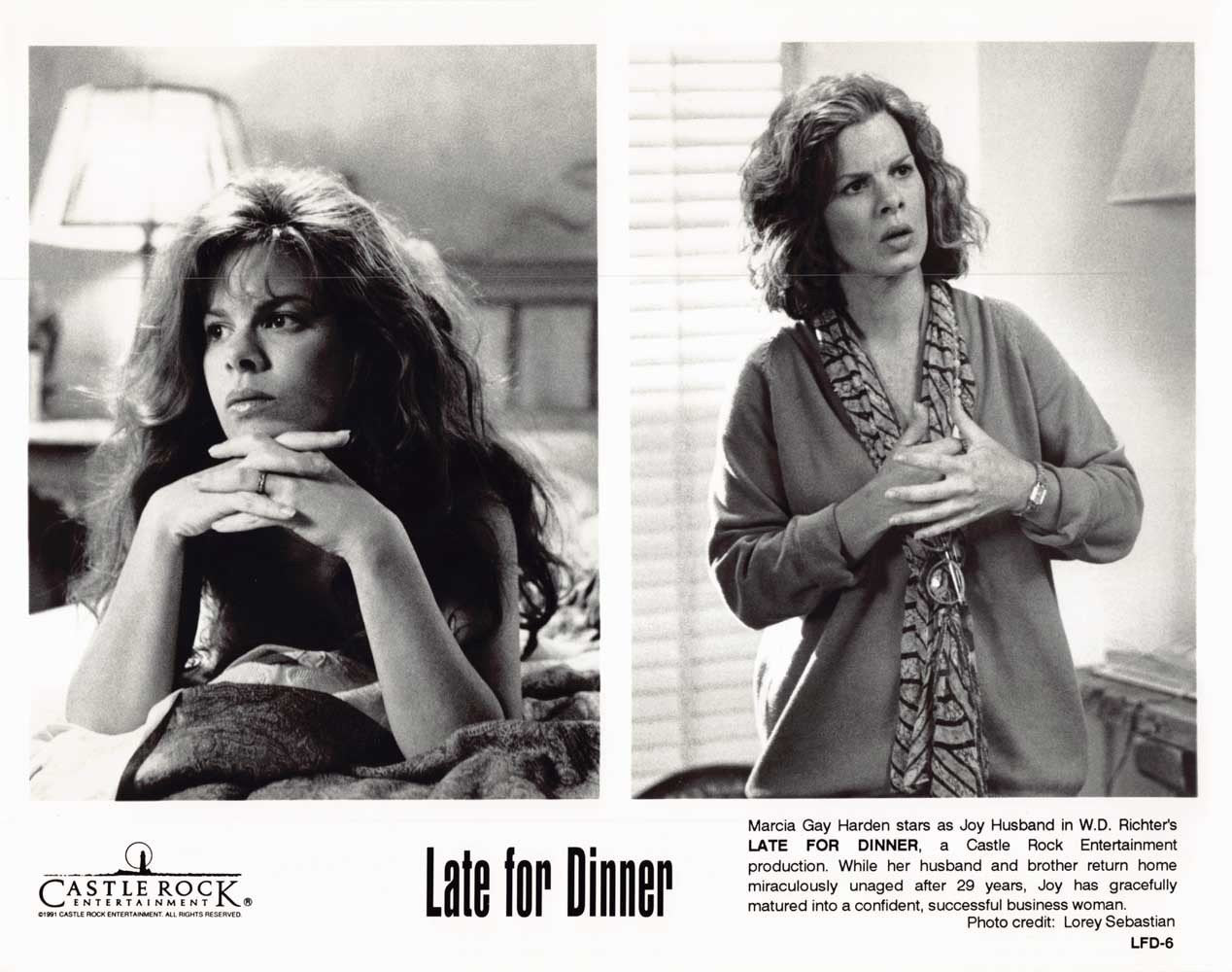 Marcia Gay Harden LATE FOR DINNER original 10x8 press photo 1991