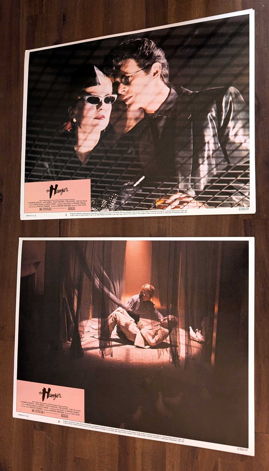 David Bowie HUNGER Susan Sarandon Catherine Deneuve original lobby cards 1983