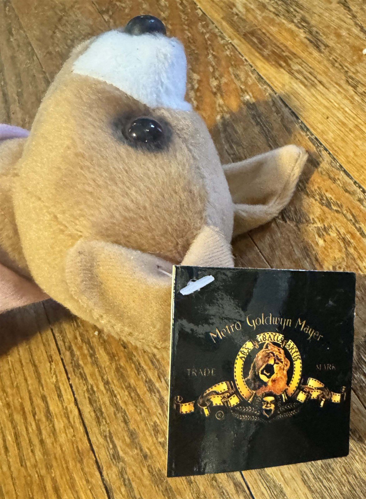 Reese Witherspoon LEGALLY BLONDE 2 Bruiser Woods promotional chihuahua plush MGM