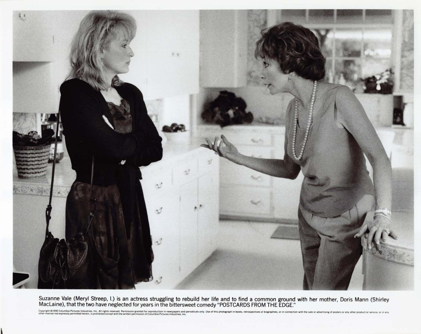 Meryl Streep POSTCARDS FROM THE EDGE MacLaine 1990 original 8x10 press photo