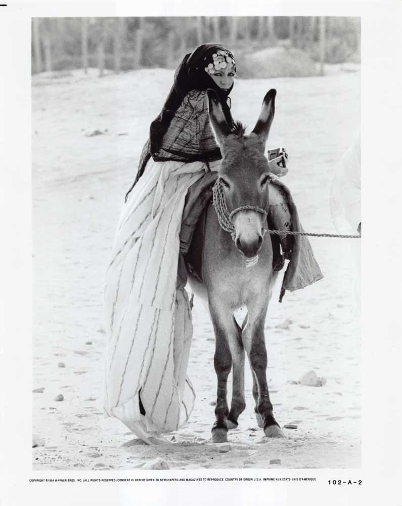 Goldie Hawn PROTOCOL original studio 8x10 press photo 1984