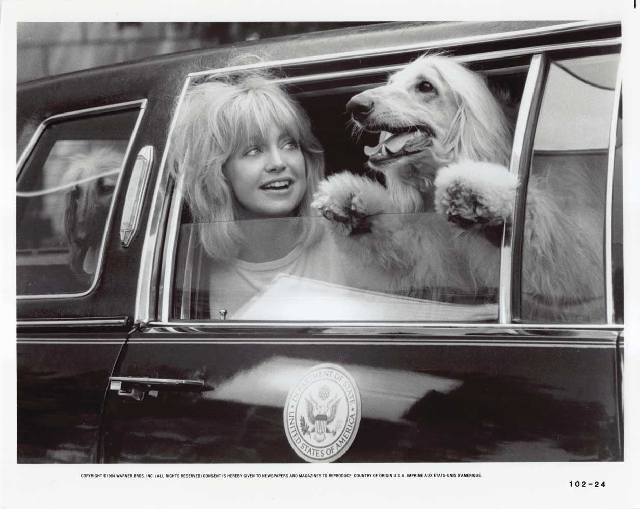 Goldie Hawn PROTOCOL original studio 10x8 press photo 1984