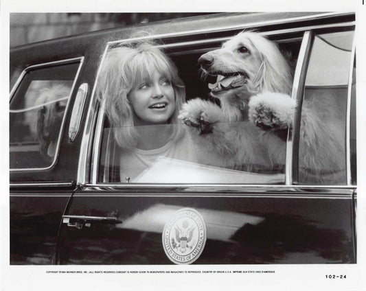 Goldie Hawn PROTOCOL original studio 10x8 press photo 1984