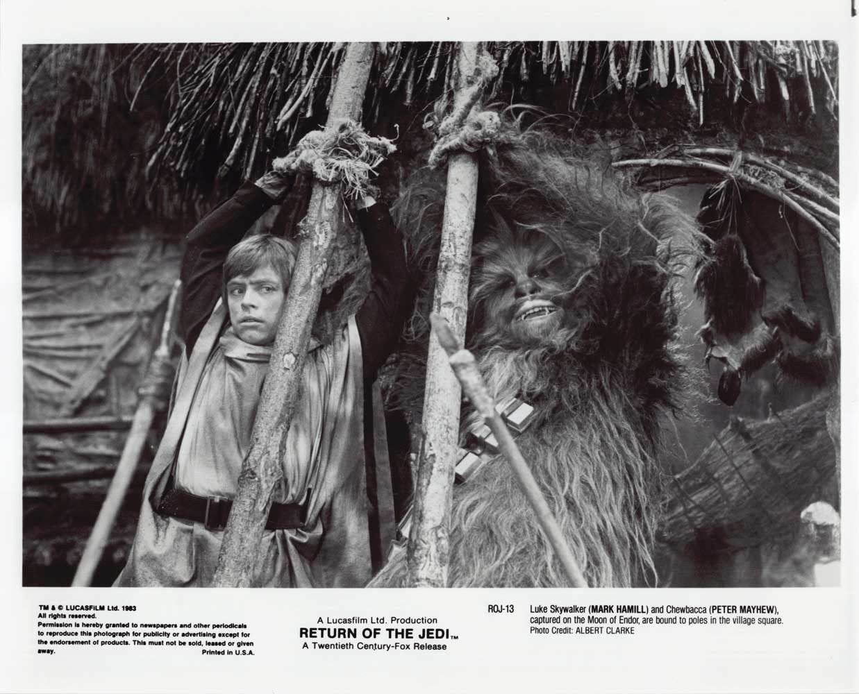 Mark Hamill Star Wars RETURN OF THE JEDI Peter Mayhew original press photo 1983