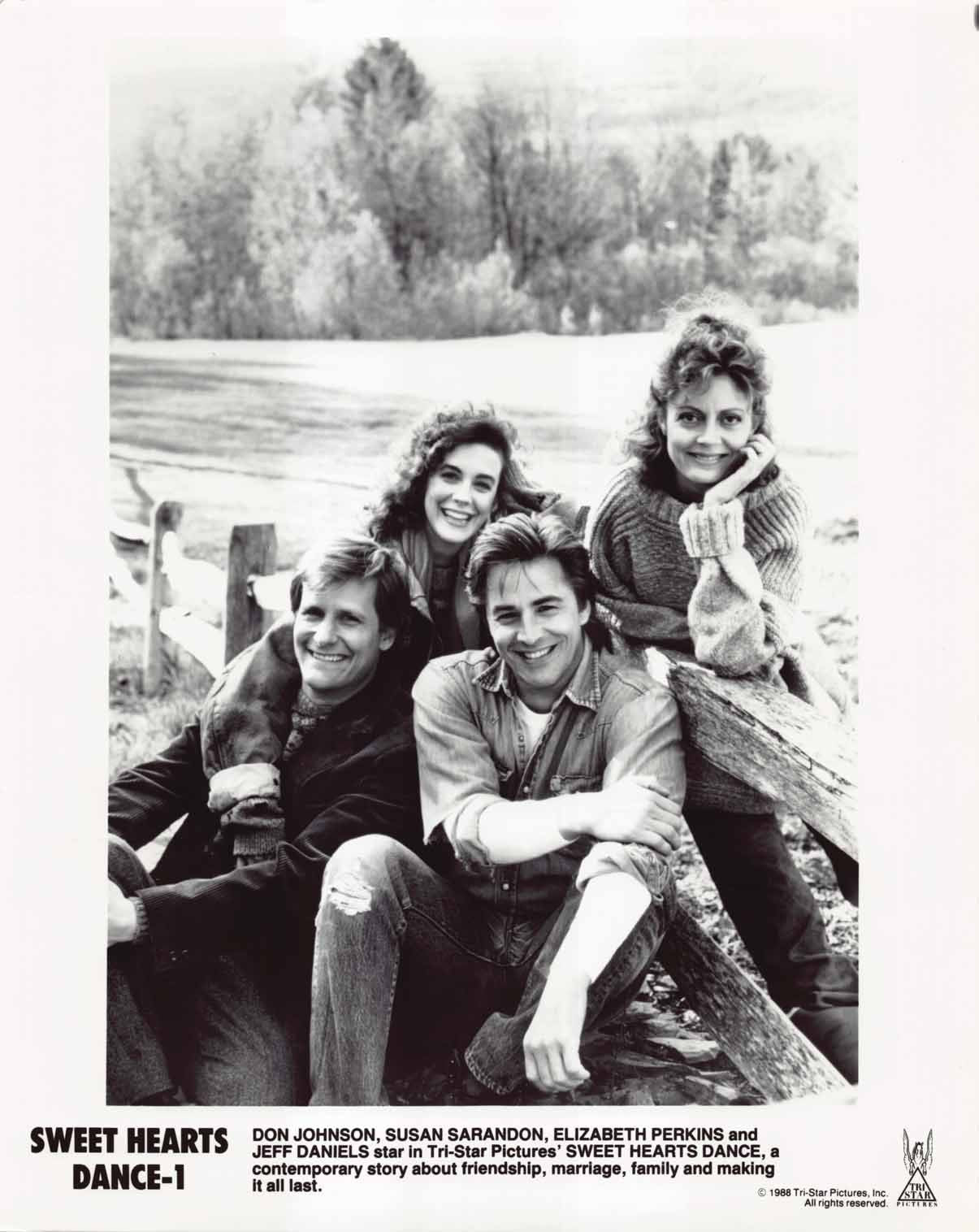 Don Johnson SWEET HEARTS DANCE Susan Sarandon original 8x10 press photo