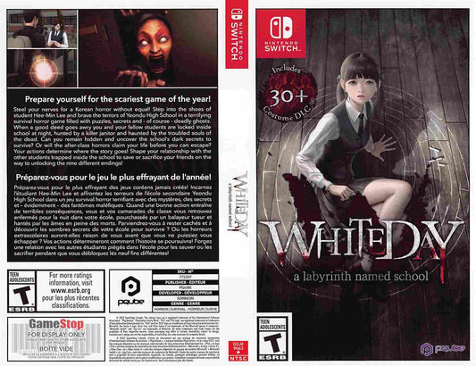 Nintendo Switch WHITEDAY LABYRINTH NAMED SCHOOL store display box art